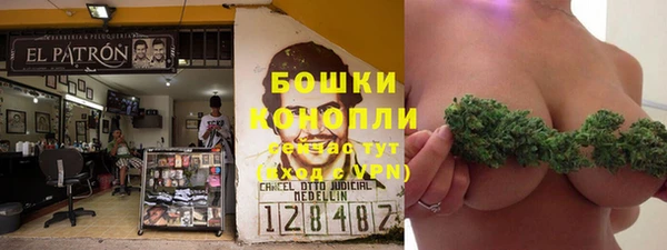 PSILOCYBIN Михайловск