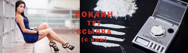Альфа ПВП Михайлов