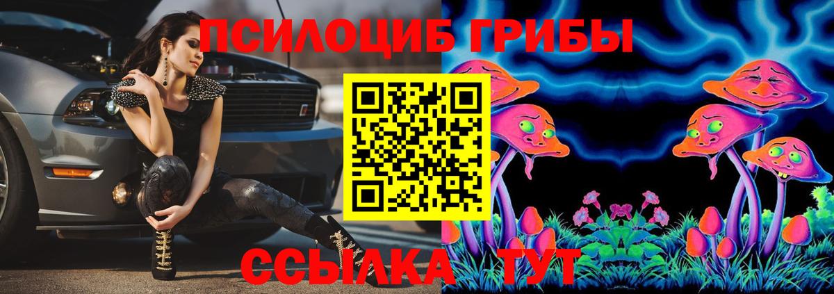 Батайск  Галлюциногенные грибы GOLDEN TEACHER  Вход с VPN 