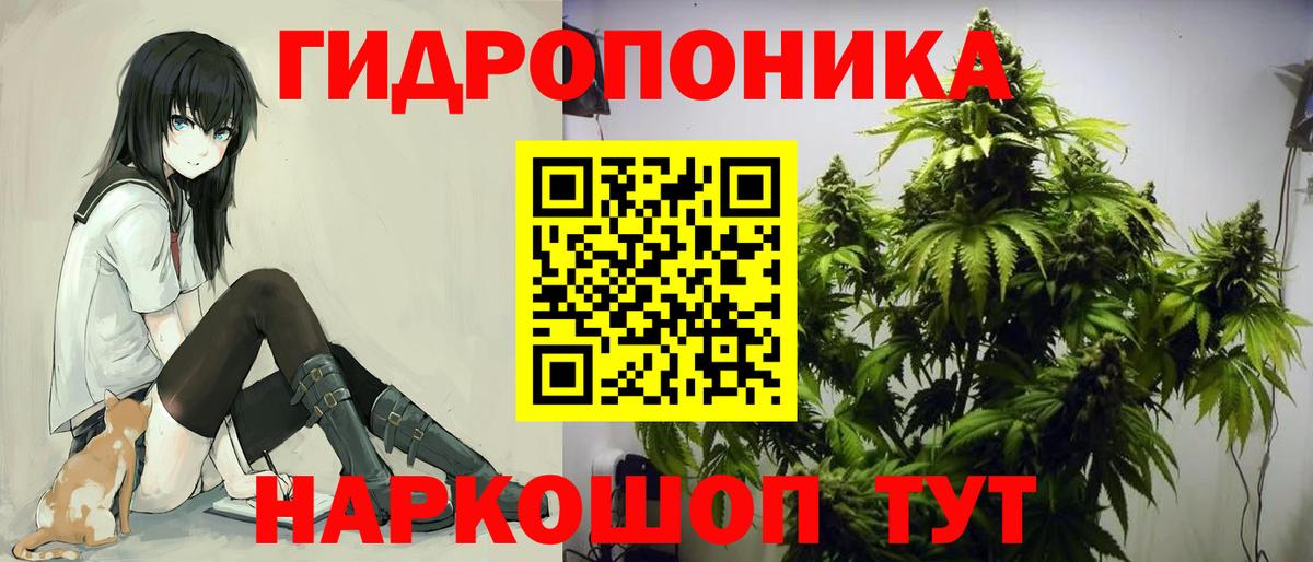 Шишки марихуана конопля  МАРИХУАНА Bruce Banner  Батайск  Вход с VPN  Бошки марихуана план 